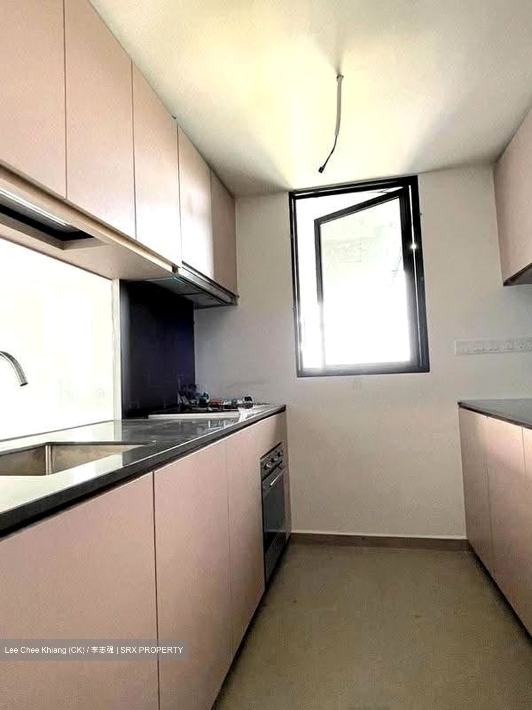 Kopar At Newton (D9), Apartment #637498111